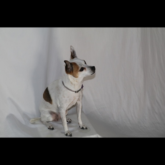 Meet your Posher, Tk - Picture 5 of 7